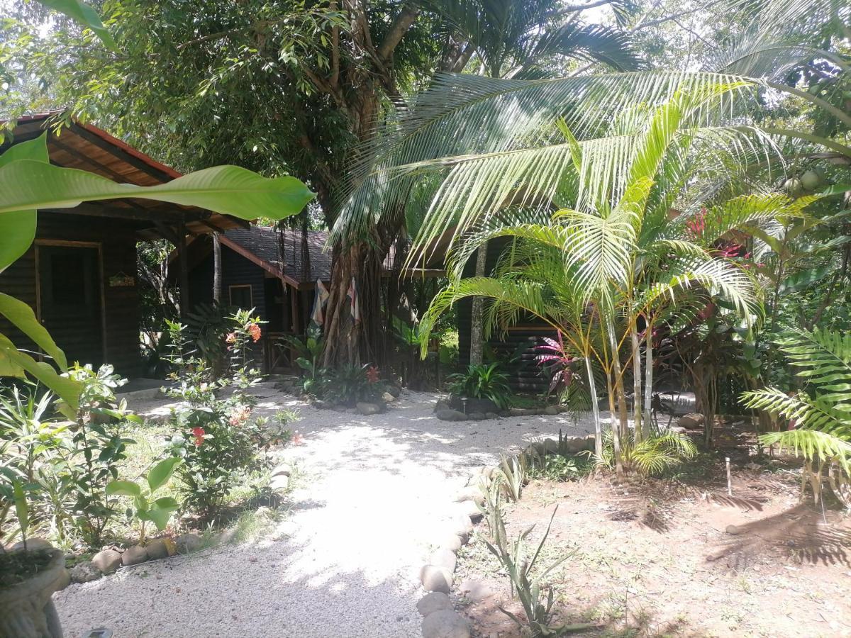 Bed and Breakfast Casa El Colibri Parrita Exterior foto