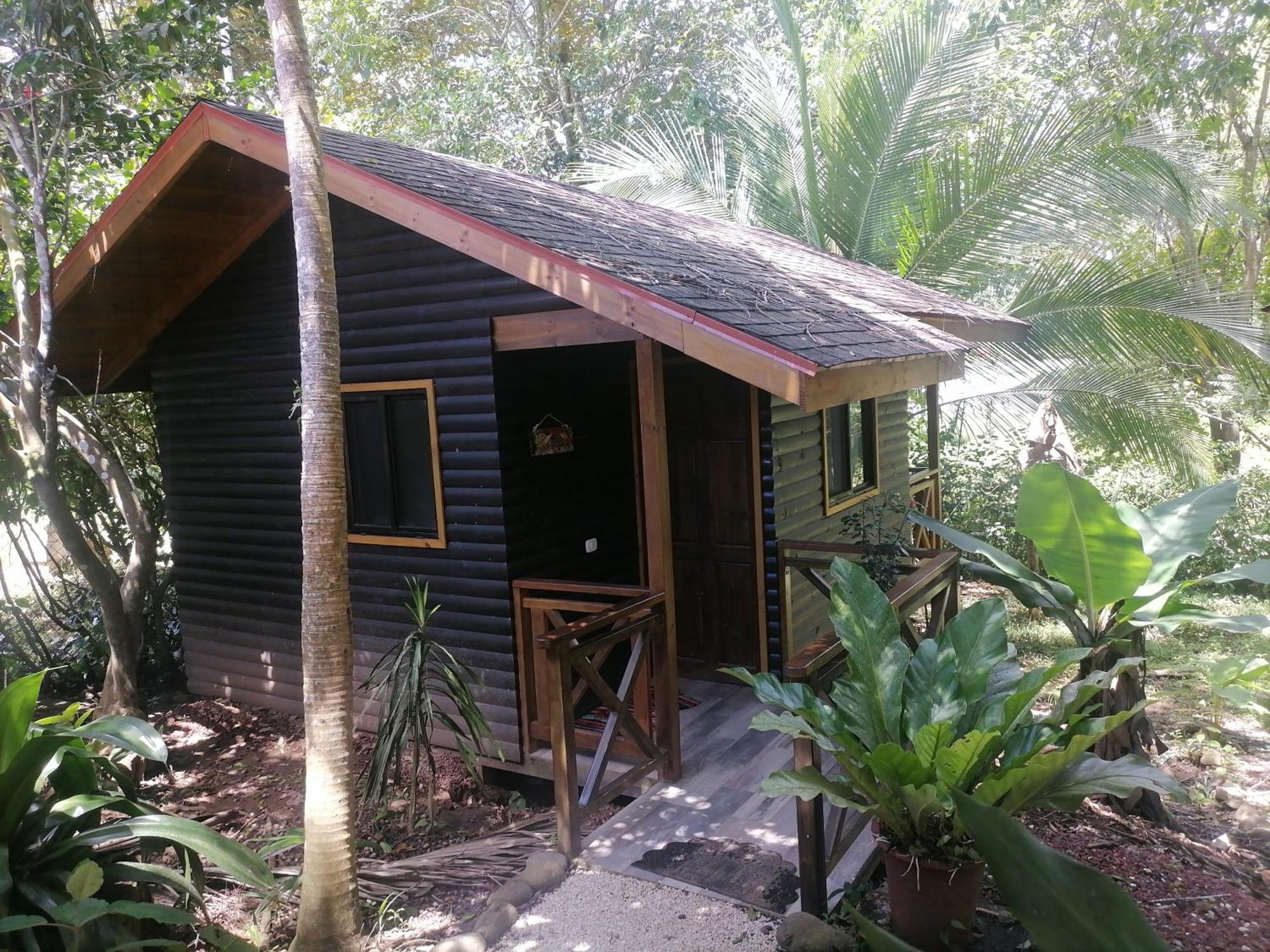 Bed and Breakfast Casa El Colibri Parrita Zimmer foto