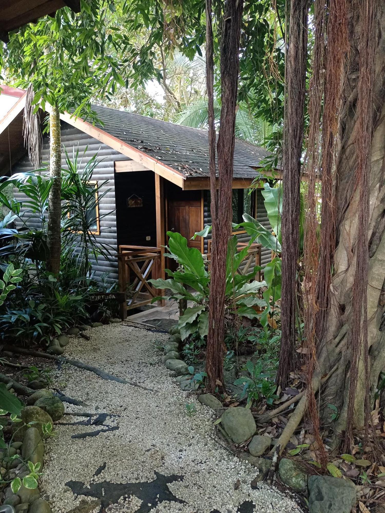 Bed and Breakfast Casa El Colibri Parrita Exterior foto